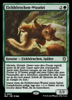 Eichhörnchen-Wuselei image