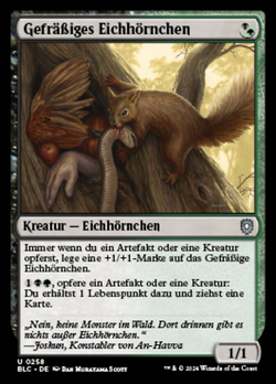 Gefräßiges Eichhörnchen image