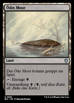 Ödes Moor image