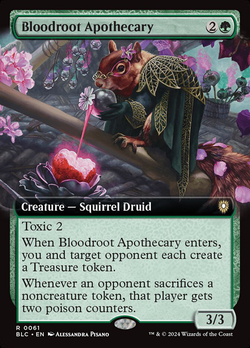 Bloedwortel Apotheker image