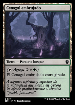 Cenagal embrujado image