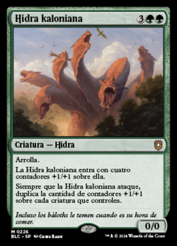 Hidra kaloniana image