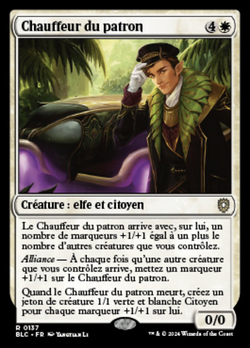 Chauffeur du patron image