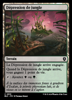 Dépression de jungle image