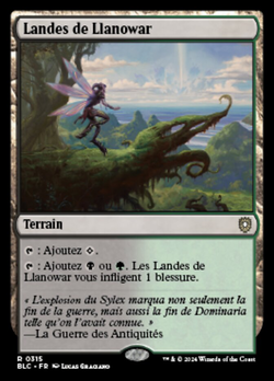 Landes de Llanowar image