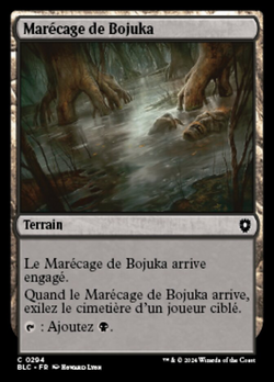 Marécage de Bojuka image