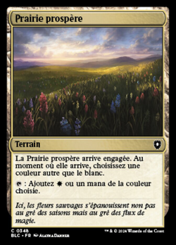 Prairie prospère image