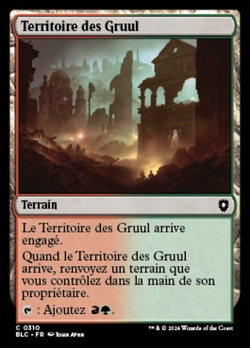 Territoire des Gruul image