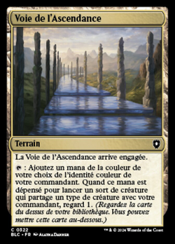 Voie de l'Ascendance image