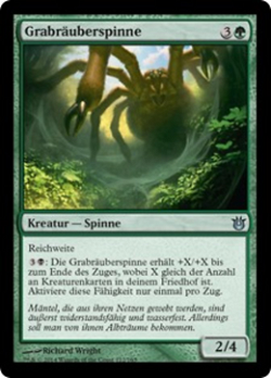 Graverobber Spider image