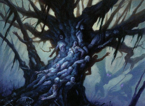 Black Oak of Odunos Crop image Wallpaper