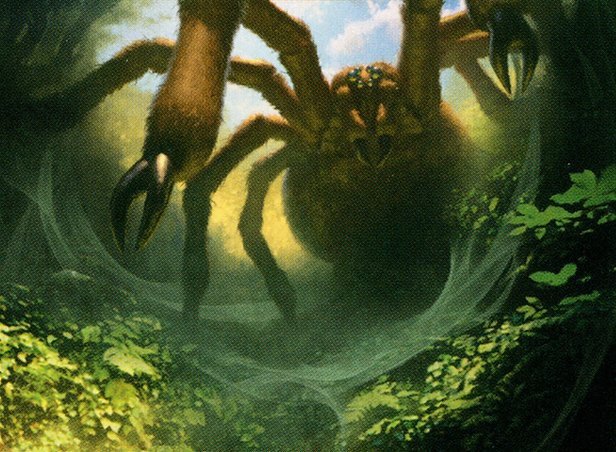 Graverobber Spider Crop image Wallpaper