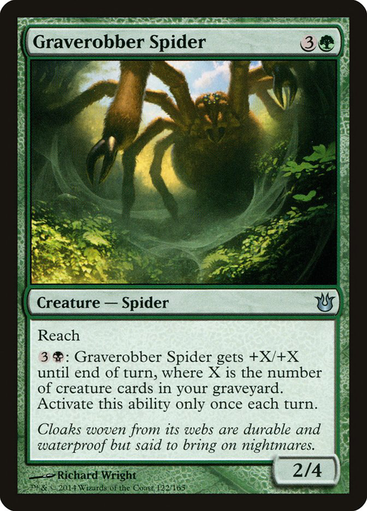 Graverobber Spider Full hd image