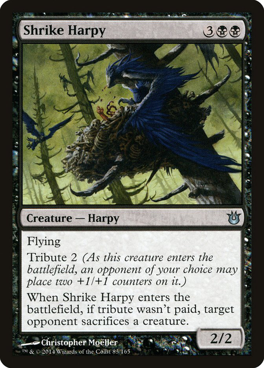 Shrike Harpy Full hd image