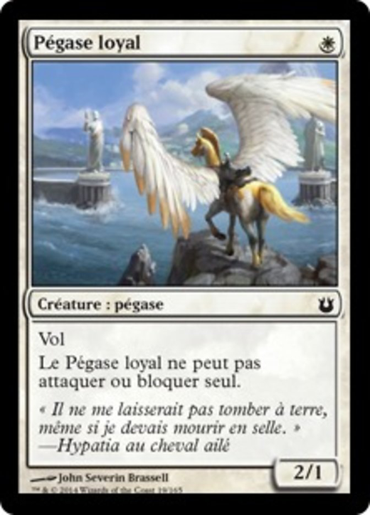 Loyal Pegasus Full hd image