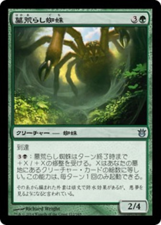 Graverobber Spider Full hd image