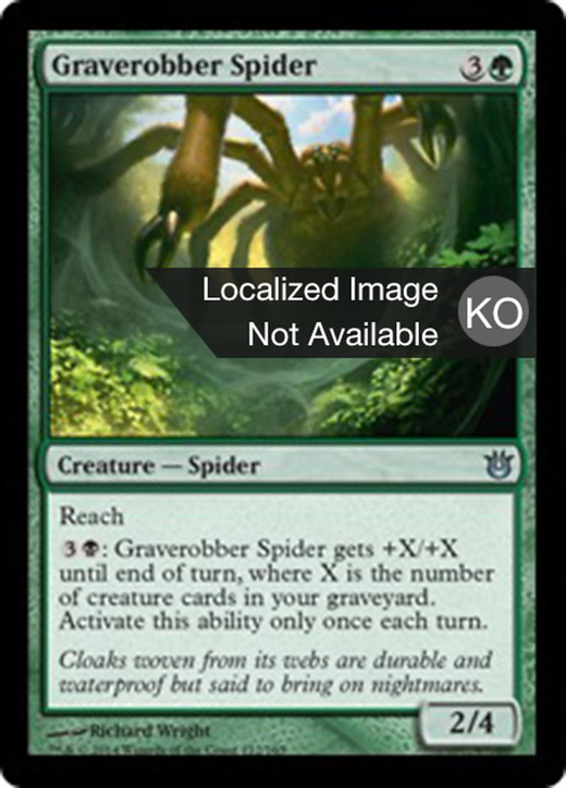 Graverobber Spider Full hd image