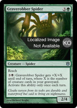 도굴꾼 거미 image