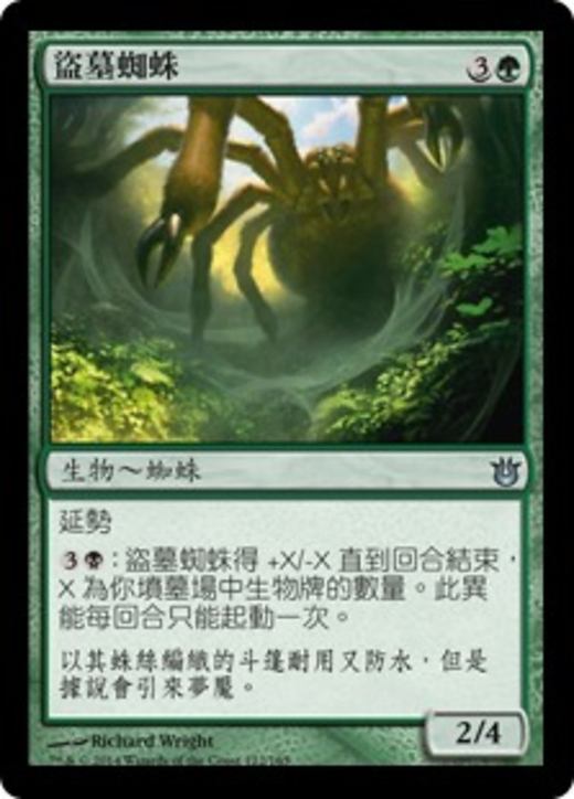 Graverobber Spider Full hd image