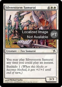 Samurai da Tempestade de Prata image