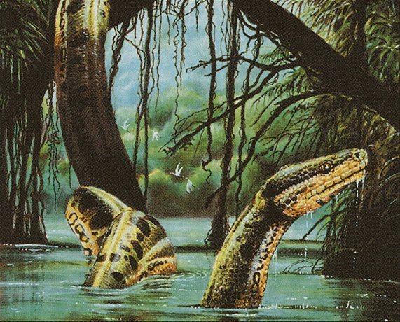 River Boa Crop image Wallpaper