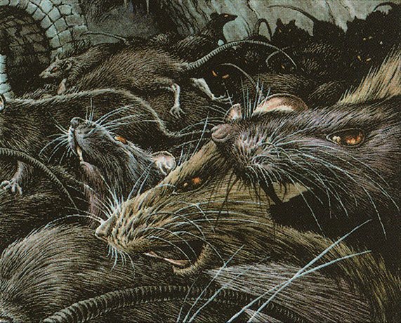Sewer Rats Crop image Wallpaper