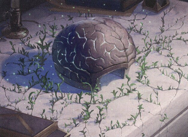 The Stone Brain Crop image Wallpaper