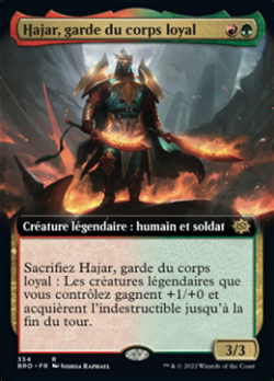 Hajar, garde du corps loyal image
