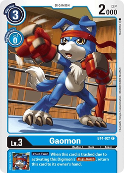 Gaomon