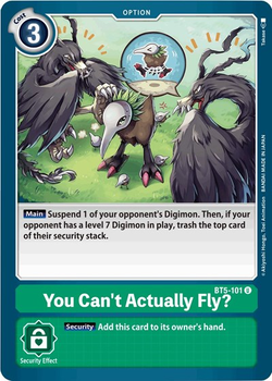 You Can't Actually Fly? image