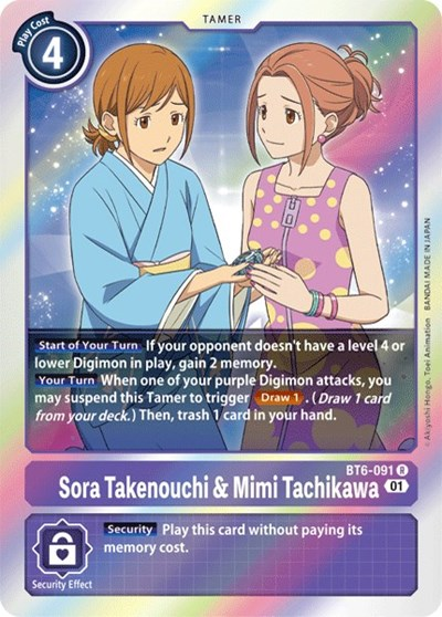 Sora Takenouchi & Mimi Tachikawa Full hd image