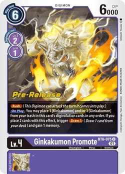 Ginkakumon Promote