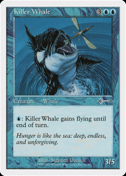 Baleia Assassina