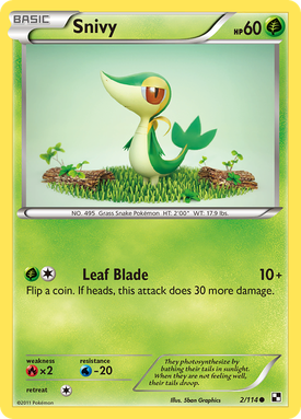 Snivy BLW 2 image