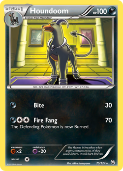 Houndoom DRX 75 image