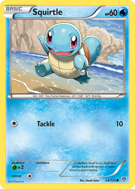 Squirtle PLS 24 image