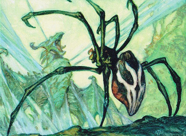 Silklash Spider Crop image Wallpaper