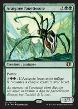 Araignée fouettesoie