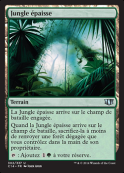 Jungle épaisse