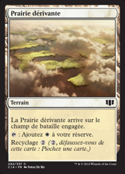 Prairie dérivante