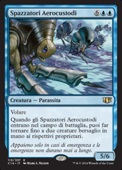 Spazzatori Aerocustodi