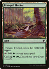 Tranquil Thicket image