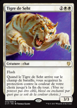 Tigre de Seht image