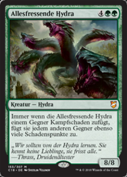 Allesfressende Hydra image