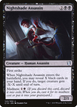 Nightshade Assassin image