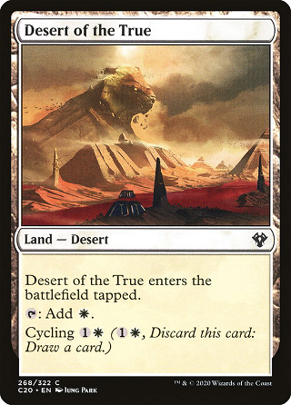 Desert of the True image