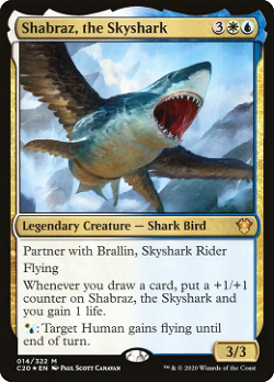 Shabraz，天空鲨