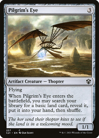 Pilgrim's Eye image