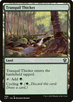 Tranquil Thicket image