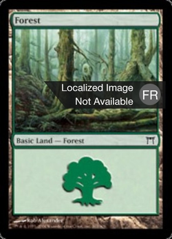 Forêt